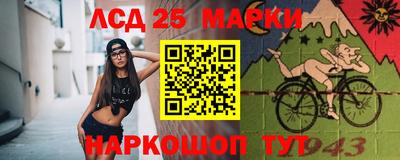 мет Можга