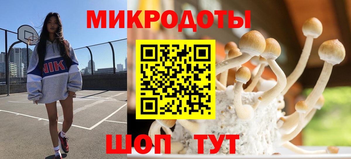 Галлюциногенные грибы MAGIC MUSHROOMS  Вход с VPN  Верхний Уфалей 