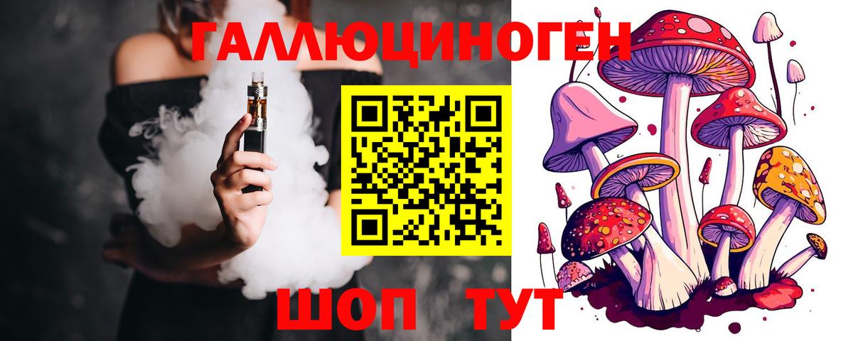 Псилоцибиновые грибы Psilocybe Верхний Уфалей